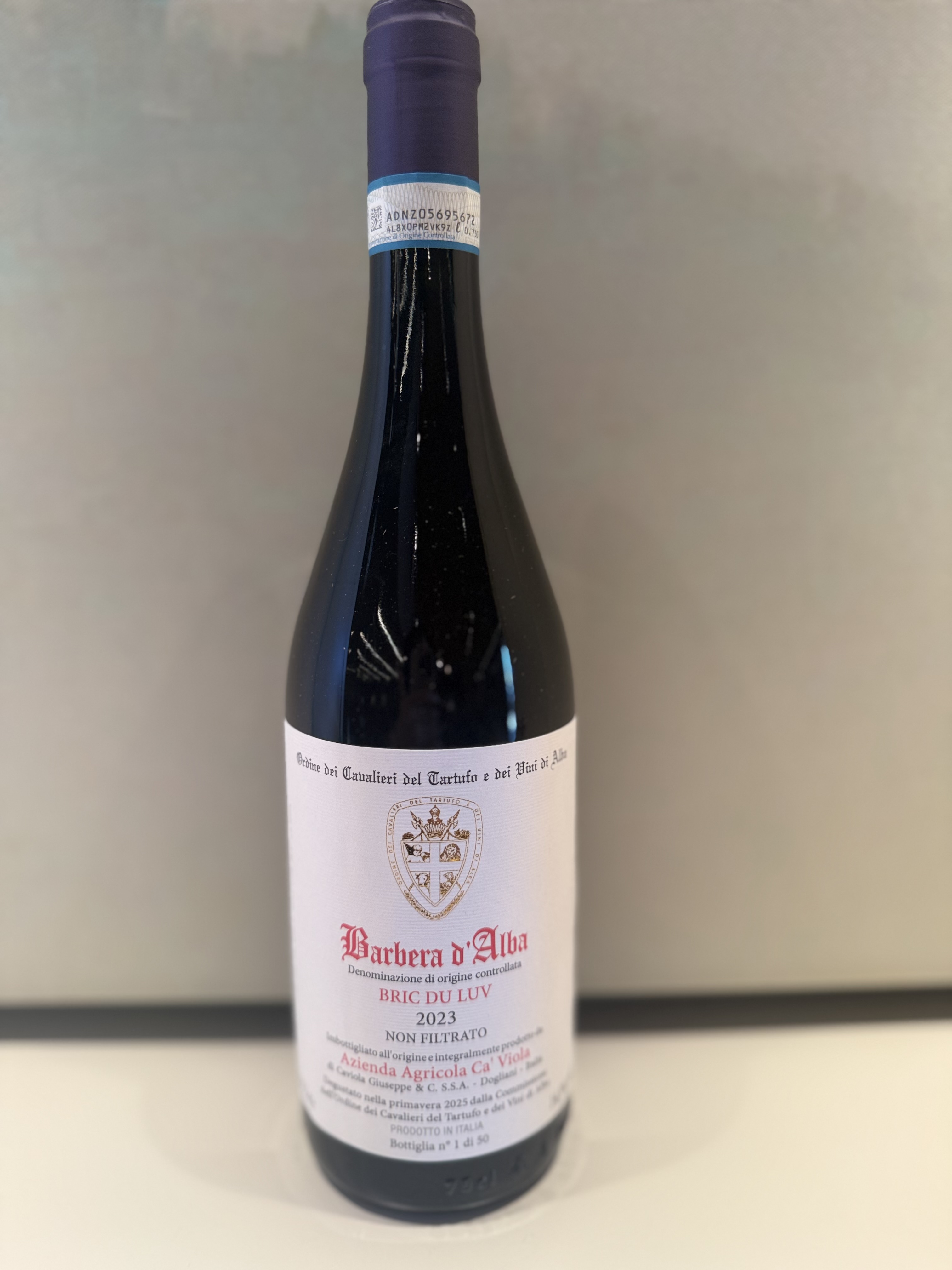 BARBERA D’ALBA DOC BRIC DU LUV 2023